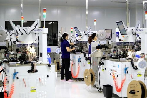 泸州纳溪 抢抓新质生产力机遇，为高质量发展蓄势赋能